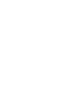 Spice by Blake